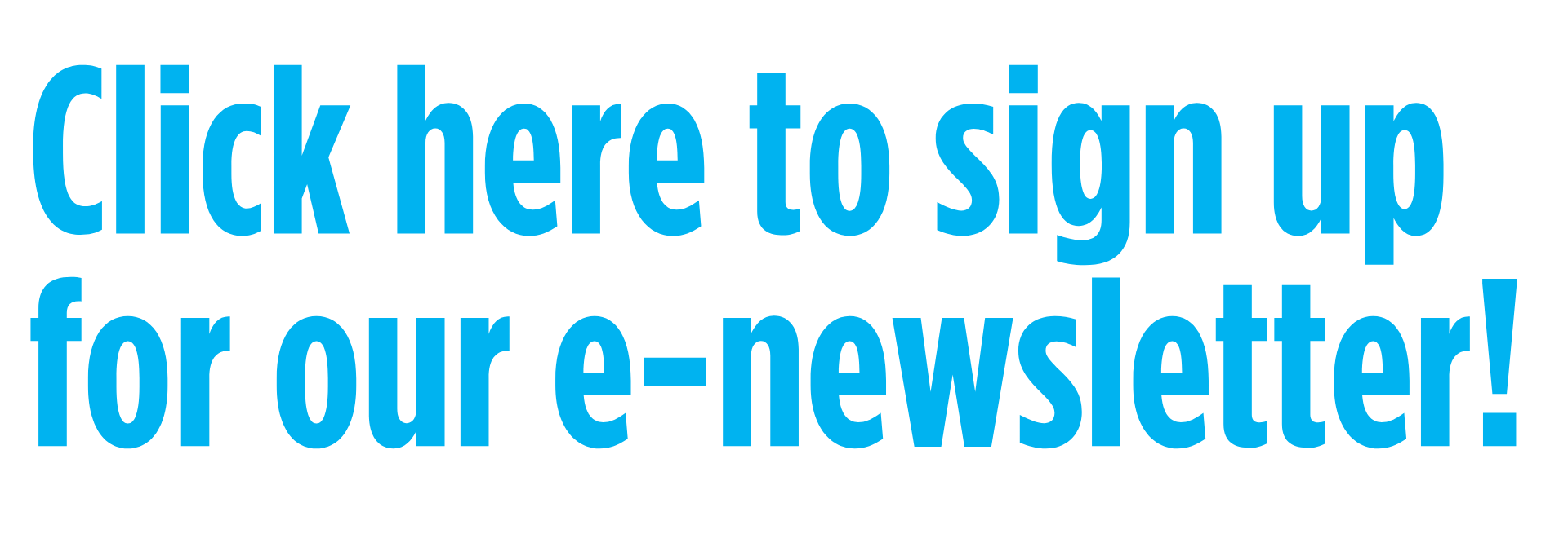 newsletter sign up