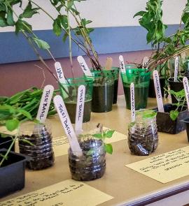 Food and Gardening Tulsa Library