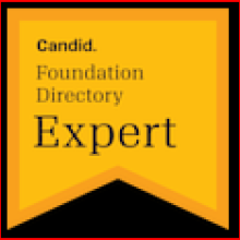 Candid Foundation Directory Expert